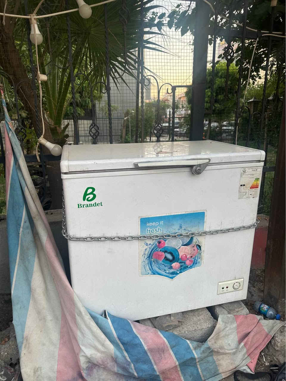 کۆشکی بەرگر 

بزنسێکی حازر و بزر بۆ فرۆشتن لەسەر جادەیەکی بەناوبانگی قەرەباڵغ بە کامل ئەشیاوە 
ئەم کۆشکە لە هیچی نەقس نیەو لەسەر ئیشەو بازار و موشتەری بەردەوامی هەیە بە کامل ئەشیاوە بۆ فرۆشتن 
گڕێل 
جیهازی سورکردنەوە 
بەرادێکی گەورە
مجەمیدە
دوو سەلاجەی بچوک
٤ مێز و کورسی 
دوو چادر 
مێزێکی بچووک بۆ شتێک بتەوێ ئیزافەی بکەی 
کامل تەرتیباتی بۆ کراوە بۆ هەبوونی ئاوی بەردەوام 
هەبوونی پەیجێکی  فوول ئەکتیڤ و بەقوەت 
بێ کەم و کورتیە و لە زەلامێکی کاسبی کەمە 
تکایە ئەگەر کریار نیت پەیوەندی مەکە یان نامەنە مەنێرە 
لە خزمەتاناین 

*********** السليمانية, العراق
