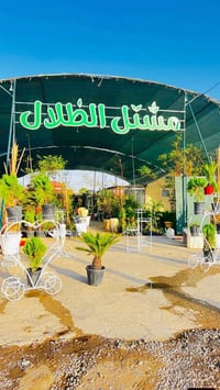 مشتل الظلال • الحود جنوب الموصل • نباتات وزهور