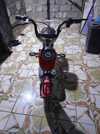 بايسكل شحن • حجم 14 • شهداء الموظفين