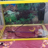 حوض سمك • ٥٠×٣٠ • اغراض كامل