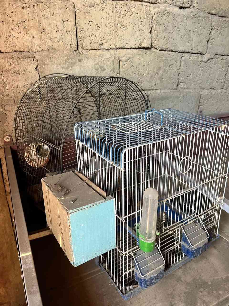 للبيع مبردة 2ونص نضيفه
ماطور مبردة باب اول نحاس اصلي كبير 
قفاص طيور 
تلفزيون


**إذا كنت صاحب هذا الإعلان وتريد حذفه لأي سبب، رجاءا أرسل رسالة إلى الدعم الفني**