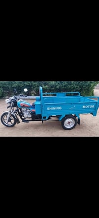 ستووته • اوراق • بصرة المدينه