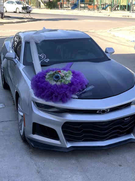 سلام عليكم 🫡 بيع او مراوس اقره للاخير
شوفرليت كمارو 2017 وارد امريكي السياره سبعينيه مختمه كلها بيها 3 قطع صبغ علشرط ( شواصي + لغود + تكم + قماره + حوض ) اكفلهن من الشخط وين ميعجبك افحص مكينه وكير برغي ممفتوح بيهن مكينه 3600 شرط شلعه تشك الكاع ودبات بورلا وبرمجه سيفتي المواصفات 
1.تشغيل عن بعد + بصمه 
2.كشنات جلد + كشنات كهرباء ثنينهن 
3.كشنات تدفئه وتبريد وستيرن تدفئه
4.شاشه اكبر حجم + كار بلاي 
5.سستم سماعات بوس + شفتات ستيرن
6.تحكم ستيرن اربع جهات + شفتات
7.انضمه قياده 3 + مانع انزلاق 
8.تحديد مسار + شاشه اعطال السياره فول الفول عده الفتحه اخوان كلشي موضح بلمنشور السياره بشرط صدرها امامي خلفي جديد اذا بيها طكه بصدر ترجع السياره تبريد ثلج جاهزه عل اخر حبايه تحويل ثاني يوم سنويه مساقطه السعر 120  وبيها مجال بسيط الميعجبه ختولي يلكه الاحسن منها كلشي اكو بلسوك 🖤 
*********** اتصال فقط 
*********** واتساب فقط 
اسف عل اطاله 🖤
