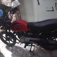 بوكسر ٢٠٢١ • أوراق أصلية • الزعفرانيه