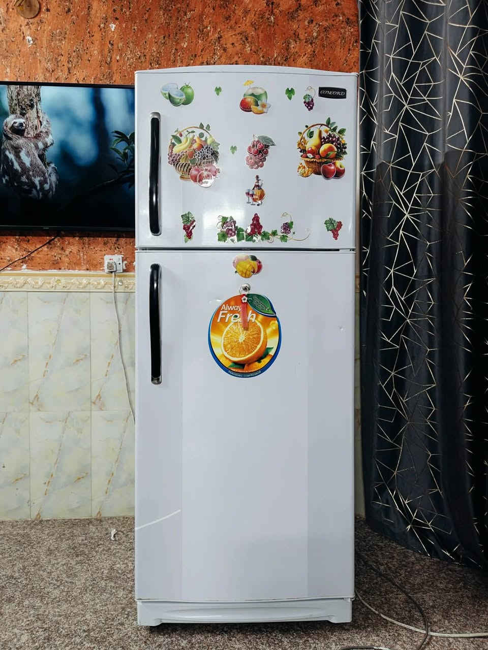 ثلاجة ماركة (كونكورد لبنانية باب اول ) مضلع بواري نحاس فريز خارجي نضام تجميد وبيها جهاز حمايه من الشركة ارقه ثلاجه حجم (24) قدم  تجميد درجة اولئ نضافه 90 بالمية داخل نضيف فول مال بيت ضمان اسبوع شرط التجميد السعر مع  التوصيل  ( 325) داخل بغداد حصرا متوفر توصيل كل مناطق بغدادد


**إذا كنت صاحب هذا الإعلان وتريد حذفه لأي سبب، رجاءا أرسل رسالة إلى الدعم الفني**