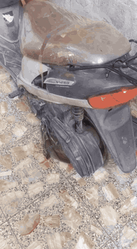 بكاني بغداد جسر ديالى الكرغولية 07715423824