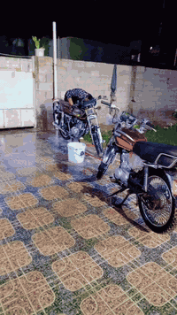 موديل 22اوراق اصوليه سعره 550مكان بغداد ناحيه لوحده قرب ‏‪***********‬‏
