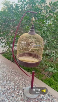 قفص ديكور • قاعده مرمر • حله مركز