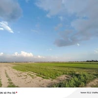 طابو سند ٢٥ • جاهزة ومخدومة • تاجي ذراع دجله