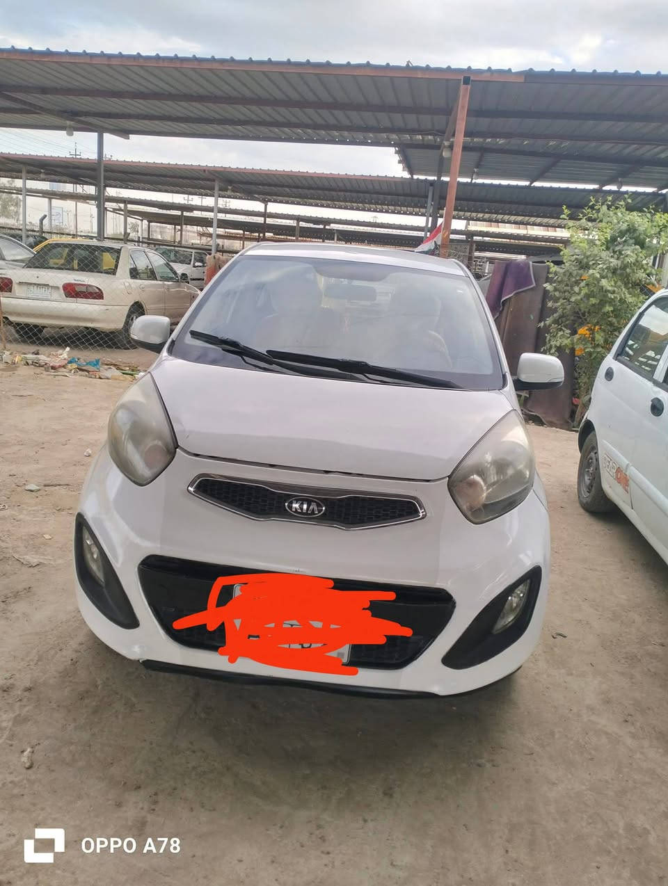 كيا بيكانتو موديل 2014 سنوية نافذة لغاية 2031 فحص وهزة جديده  مكاني الديوانية ***********
