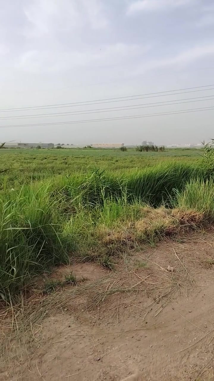 ٠


**إذا كنت صاحب هذا الإعلان وتريد حذفه لأي سبب، رجاءا أرسل رسالة إلى الدعم الفني**