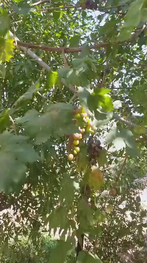 السلام عليكم ورحمة الله وبركاته
بيت مؤثث للبيع يباع مع الأثاث مساحة البناء 200م بالإضافة إلى بستان خلفي بمساحة 500م في مركز مدينة شقلاوه منطقة سفين وعلى سفح جبل سفين وبسعر 36.500 $3شدات و65ورقه وقابل للتفاوض الدار رقم بلدية فاتورة الماء والكهرباء بأسم صاحب البيت


**إذا كنت صاحب هذا الإعلان وتريد حذفه لأي سبب، رجاءا أرسل رسالة إلى الدعم الفني**