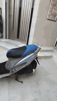 ماكس منغولي مكفوله كفاله عامه ختم واحد وي المكينه شرط الفحص سلف اشاير ...