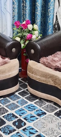 تخم اصلي اوربي • ميسان • عمارة