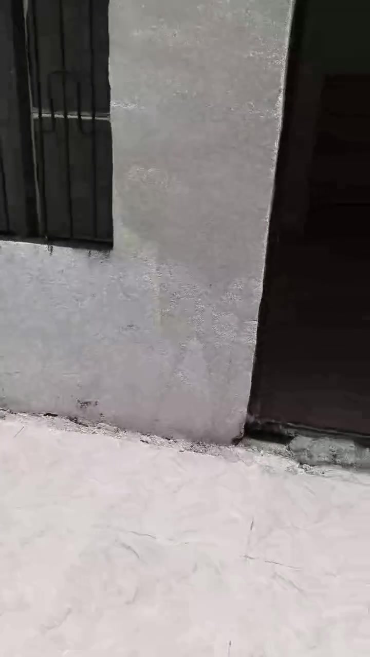 يالله مشتمل للبيع طابو زراعي سند25المساحه 120م  سعر مناسب يتكون غرفه صاله  استقبال  صحيات بناء بلوك سكف صب بناء حديث جاهز للسكن الموقع طويريج الرشيدة استفسار اكثر مراسله او اتصل  
***********

