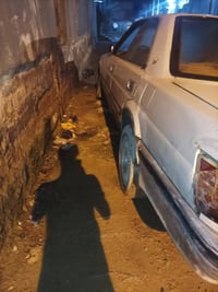 هارتوب • تفصيخ • المناذره