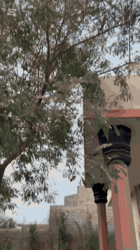 السلام عليكم شباب ددون مقدمات تايگر ٢٤اخت الزيرو اول تبديلت دهن ماشي 2000دراجه جديده ومكفوله كفاله عامه شاشه لمس تعرض فيديو سعره خاص سعر مناسب لستفسار اكثر عل رقم *********** مكاني ديالى بعقوده الصناعه الثالثه وكل الهله بيكم ✌🏻🙂‍↕️
