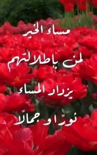 بيت 60 متر ركن على شارع 20   بناء 2025 جديد طابو ملك صرف   بغداد الحسي...