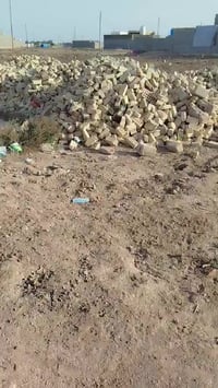 السبل • ٢٠٠م • للبيع