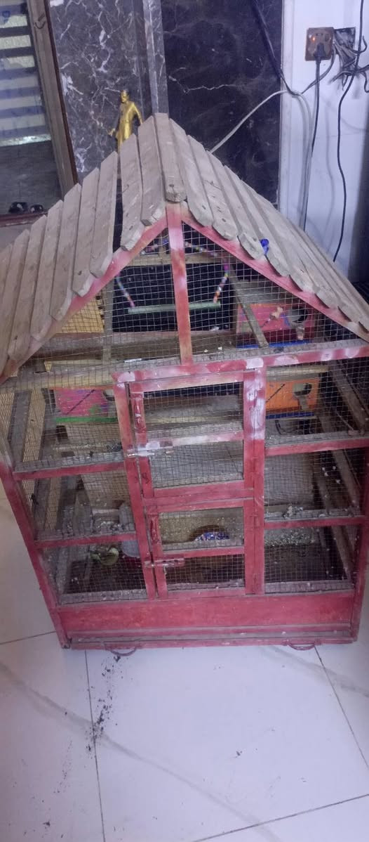 سلام عليكم قفص للبيع يوجد معاا 4 بيوت نضيف السعر 25 يوجد رقم واتساب ***********
