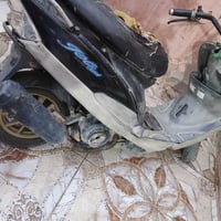 ماكس • منغولي • للبيع