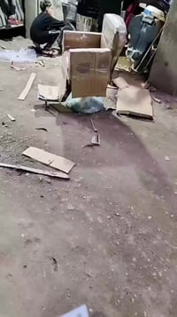 اوردرات النهارده • كرسي