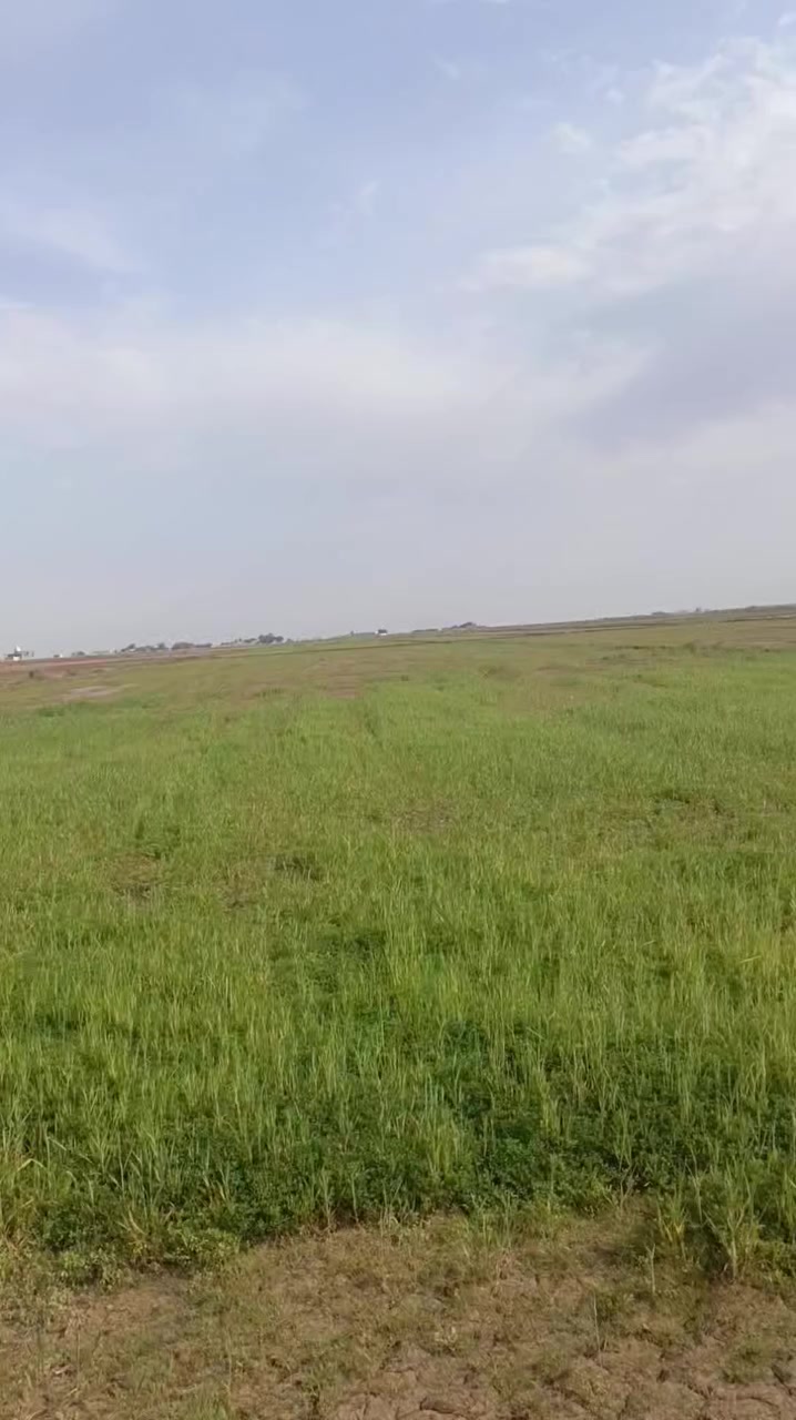 شروه للبيع 50دونم بسعر مناسب الشذيريه قرب معامل  الطابوق أتصال عل الرقم ***********0 أو خاص
