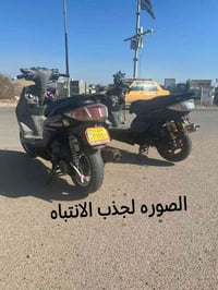 قطع سكنس • فحل • اصلي