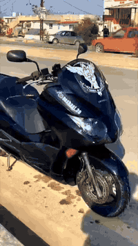 السلام عليكم
فورزة 010 للبيع فقط المو شراي لا يراسل ولا يخابر 
دراجه شرط كلها بلادي 
گزوز رياضي 
محرك شرط 
گير شرط 4 تحويلات + 8 نمر 
مسجل + سماعات 2
دراجة مكفولة كفاله عامه وبدون اوراق 
السعر مليون و 425 
مكاني الموصل/المجموعة الثقافية
***********
الاسيا واتساب فقط 
***********
