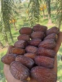 ورحمه الله وبركاته يوجد فسئل بريم اللبيع العنوان التاجي 07810868648