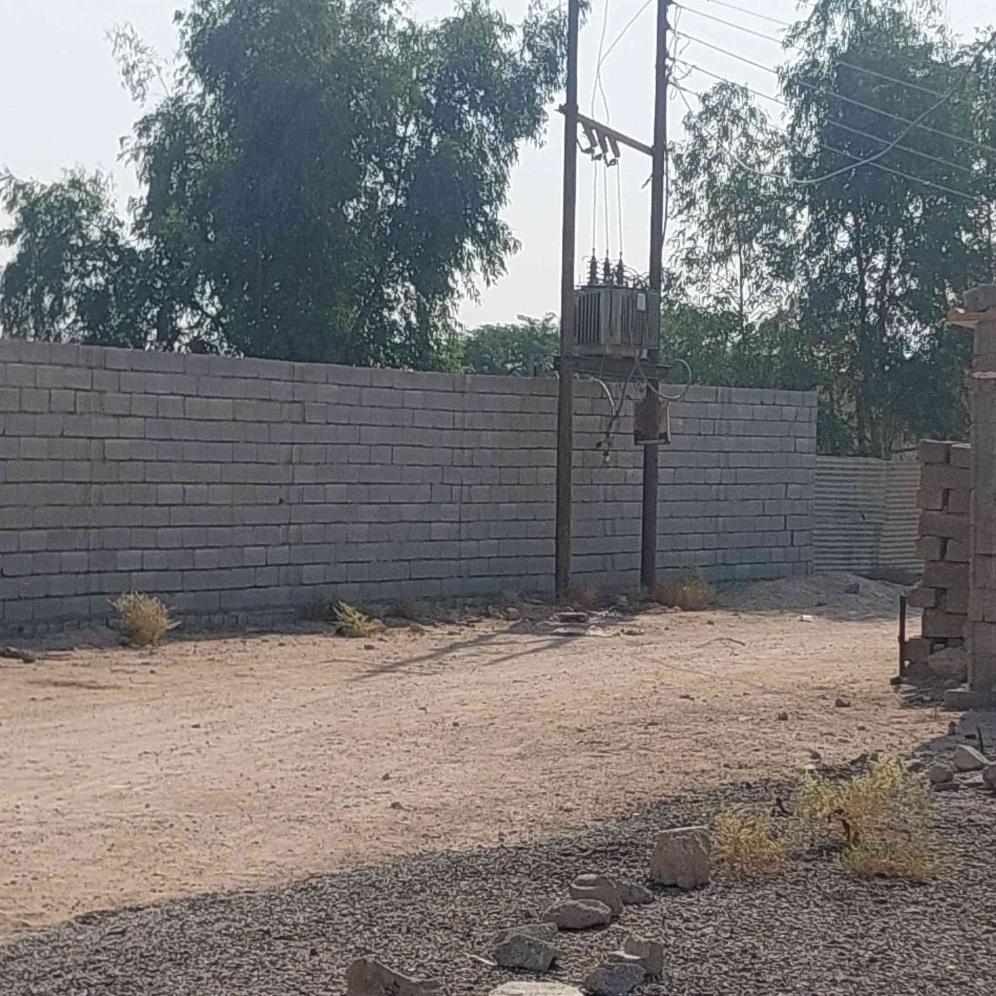 سلام عليكم  دونم زراعي البيع بيه بيت سندوج وزارعين بيه نخل وسدر مثل ما واضح بل صوره كهرباء وماي ارتواز العنوان الزبير المكصب ورا الخليل نهايت الشارع العام ***********////***********
