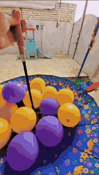 كربلاء • حضانة روضة تمهيدي • مقاعد محدودة