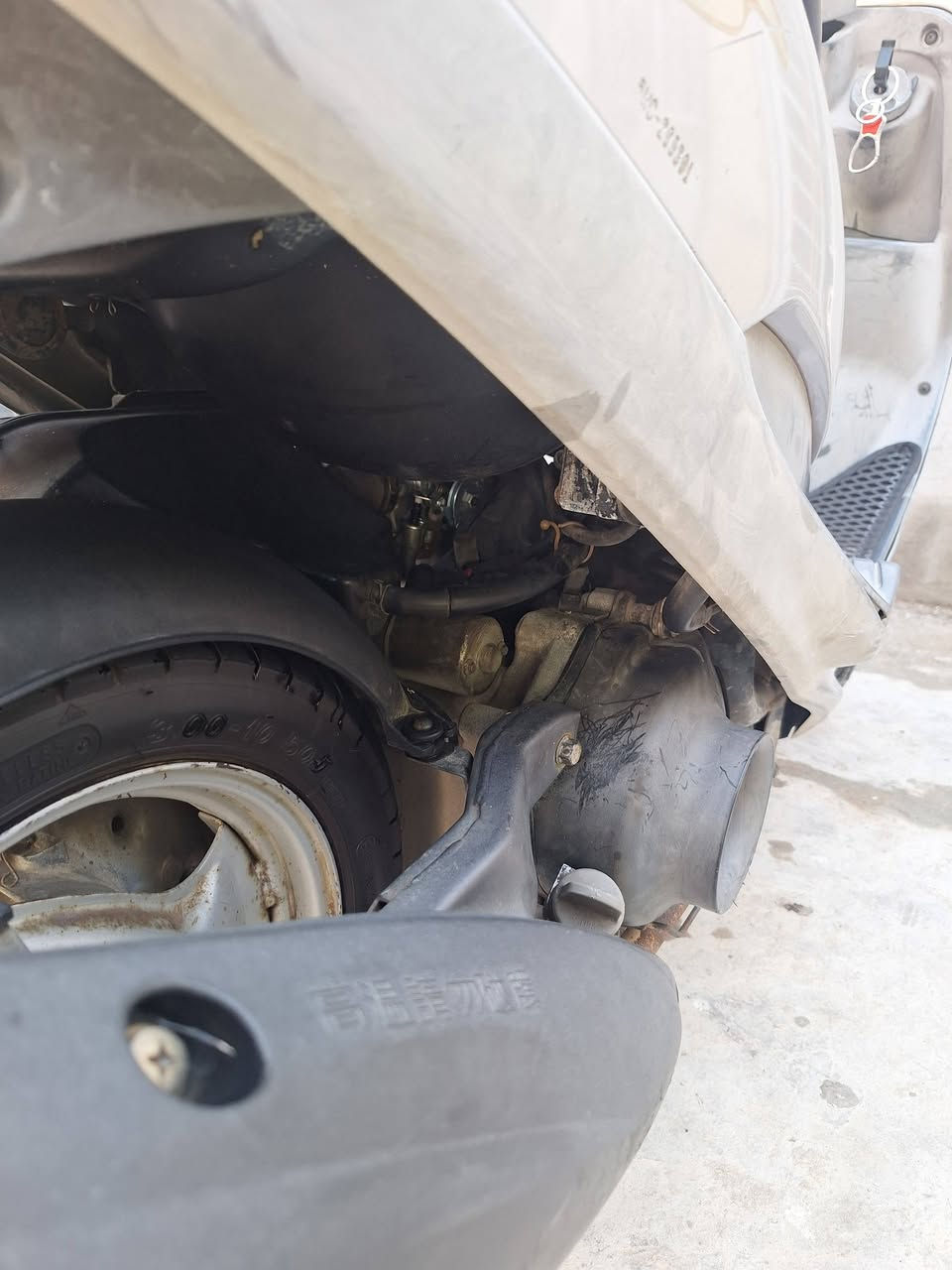 سلام عليكم ماكس منغولي 2008 للبيع
دراجه صارله اربع اشهر من طلعت من الحاوي دراجه جديده مكينه شرط ما تسمعه خرسه كهرائيات كله شغاله
مكاني كربلاء حي العسكري
السعر 750 وبيه مجال بصيط 
رقمي ***********
مكلف بنشر مامتواجد ع الخاص رجائن
