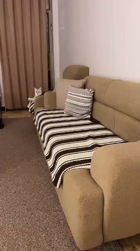 بيع تخم مستعمل شهرين بس للإستفسار أرجو مراسله الخاص


**إذا كنت صاحب هذا الإعلان وتريد حذفه لأي سبب، رجاءا أرسل رسالة إلى الدعم الفني**