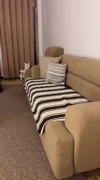 تخم مستعمل • شهرين • مراسلة خاص