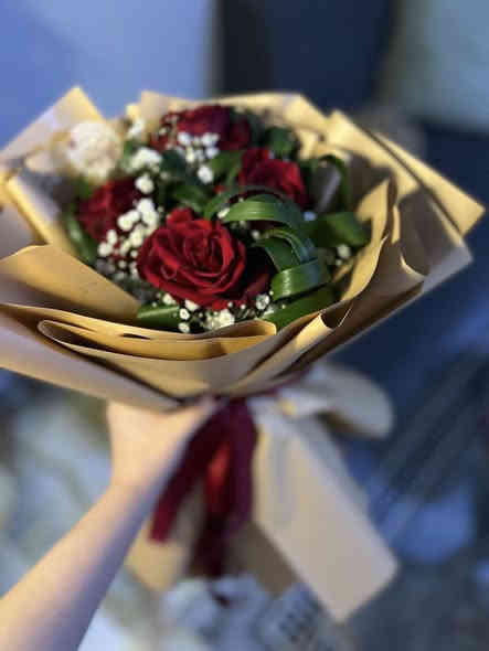 لحظات ممتعة برفقة زهور فلورنسا 🌺🌺
ديالى/ المقدادية/ قرب مستشفى الزهراء عليها السلام .
***********
