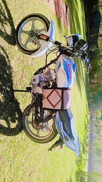 دايوان • موديل 21 • اوراق مكفوله