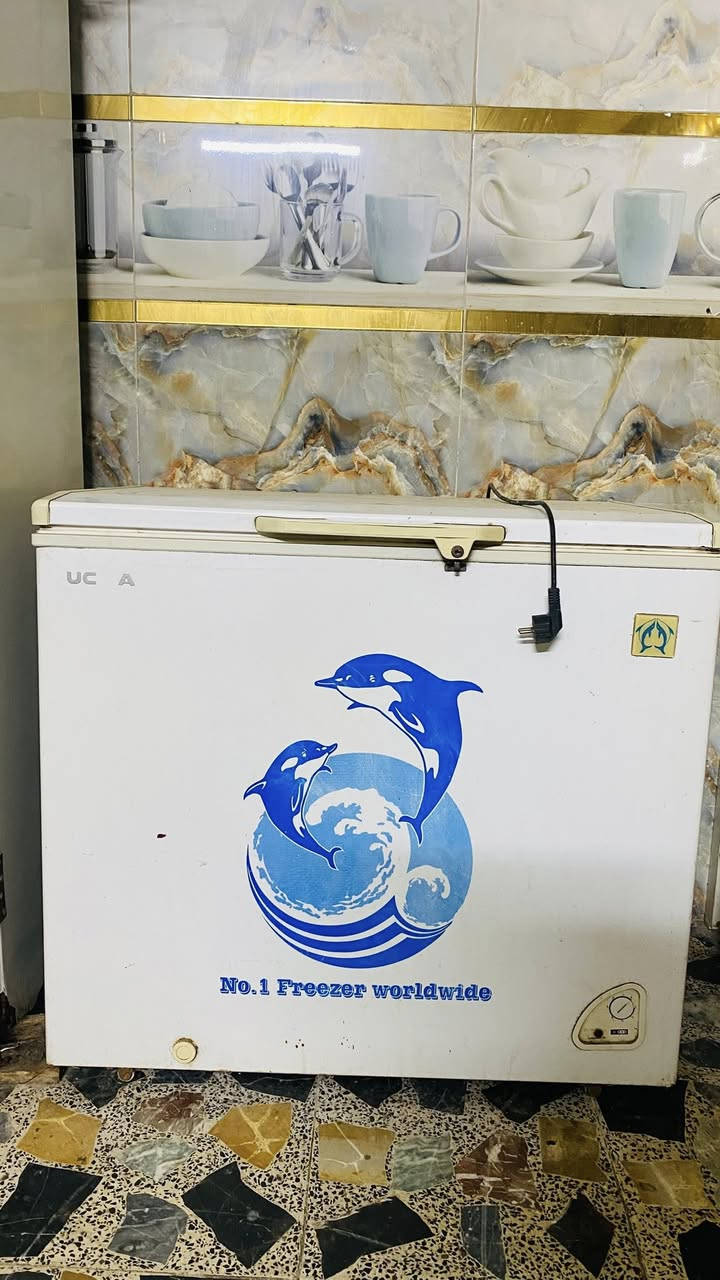 مجمده تشتغل بس نص منها ميجمد الحجم الكبير قيم وأخذ العنوان بغداد مدينه الصدر حي الكوفه وهاذ الرقم ***********
