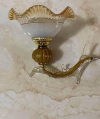 براكيتات • مجموعة • أسعار مناسبة