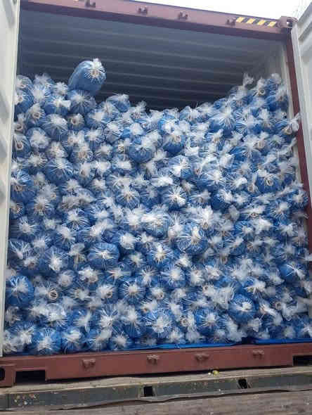 على بركة الله وصول حاويه جادر أزرق ثقيل 
جميع القياسات 

الفرع الأول شارع 60 عمود 207 قرب وصفي 
الفرع الثاني الشاوي نزلت العيد قرب غرفه التجاره 
ه‍ . مبيعات ***********
ه‍ . كميات ***********
ه‍ . واتس إب ***********
توفر جميع أنواع صحيات الايرانيه 
يتوفر خدمه توصيل كافة محافظات مجاني
