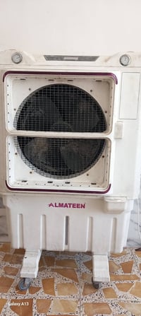 مبرده • شغاله • نظيفه