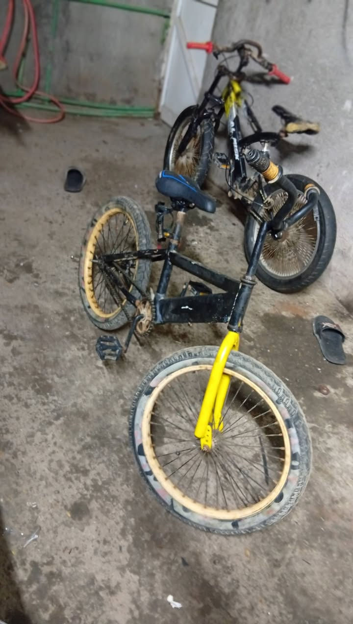 السلام عليكم باسكلات  البيع ثنينهن 100بيه مجال المكان البصره شط العرب الرقم ***********
