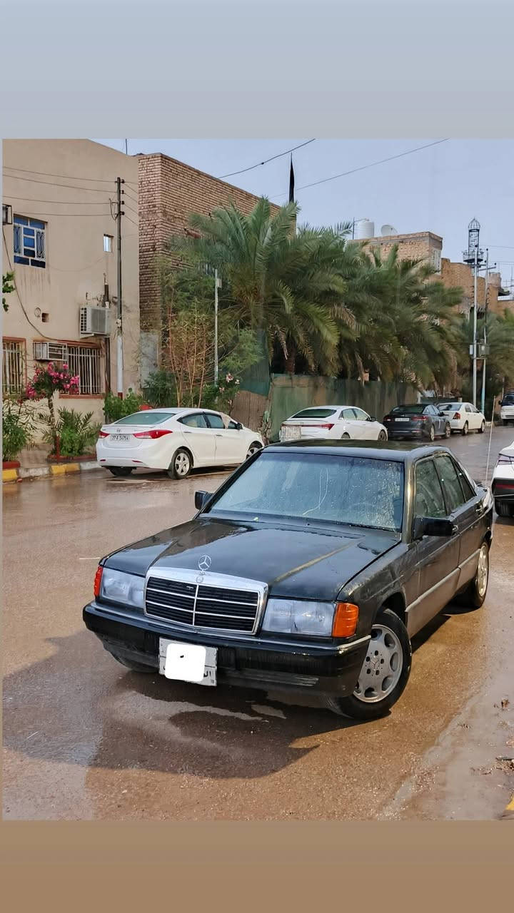 ١٩٠ بيع أو مراوس حسب القناعه
ذي قار الناصريه ***********
