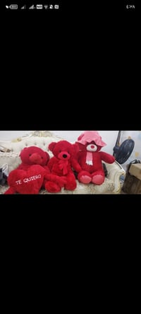 دببة • ٢ كبير • ١ وسط