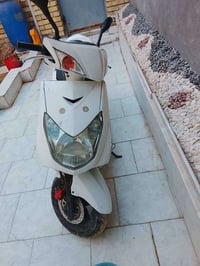 سكنس فحل • سلف • كلشي شغال