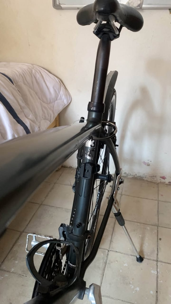 حبايب
جناية ال giant700

    "Giant Escape"
مدام عندي دور ثاني خل ابيعة
نضافتة 9/10
قطعتي احبها هواي
والياخذها كذلك راح يحبها
شارع فلسطين
***********
*قبل لتسأل ابحث عليه وجيك عموChat gpt
