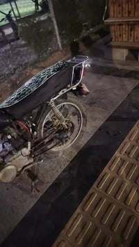 دراجة نارية • ٣٠٠سي سي • مجال