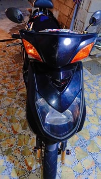 سكنس فحل • ٥٨ • بلادي