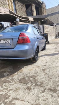 افيو • مصبوغة • رقم بابل