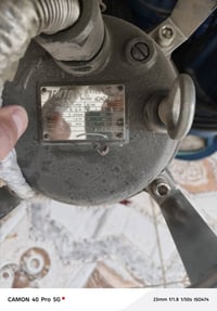 للبيع قطسات ألماني   إيطالي للبيع07890408999